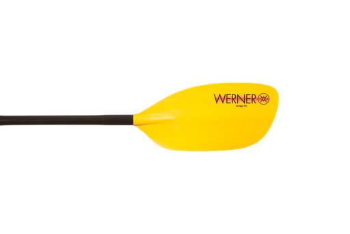 Werner Amigo